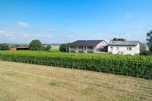Une maison dotée d’un porche abrité, entourée d’un vignoble.