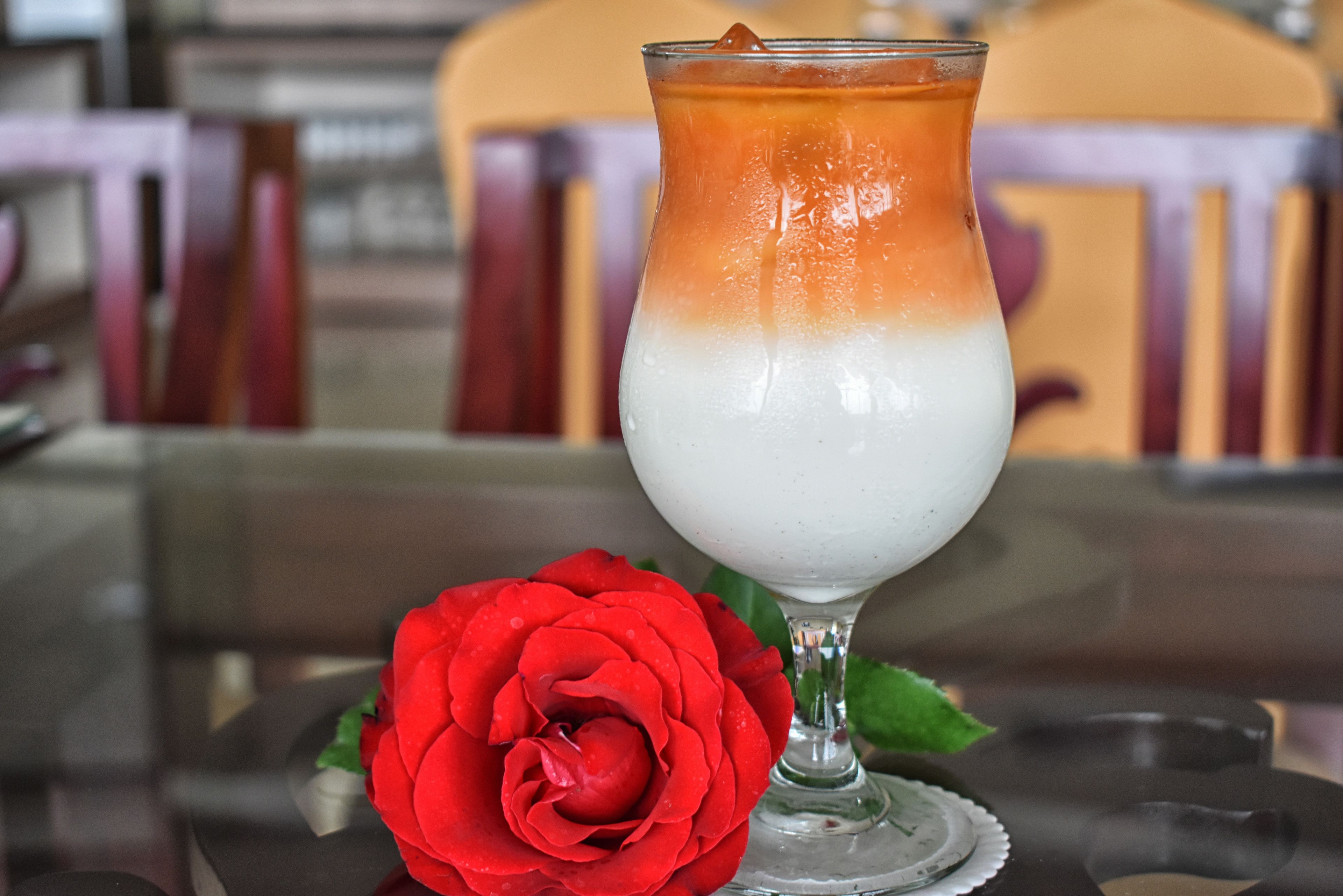 A layered drink in a glass with a rose beside it.