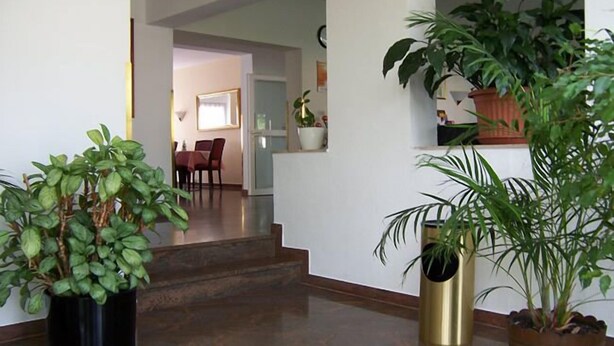 Un escalier menant à une salle à manger, de part et d’autre de laquelle se trouvent des plantes en pot.
