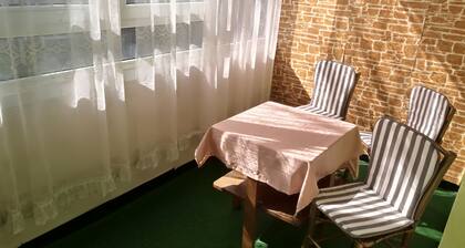 Apartment Moni