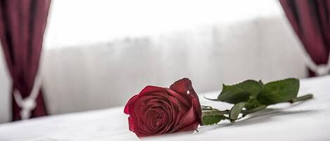 Una rosa roja sobre una superficie blanca, con fondo desenfocado.