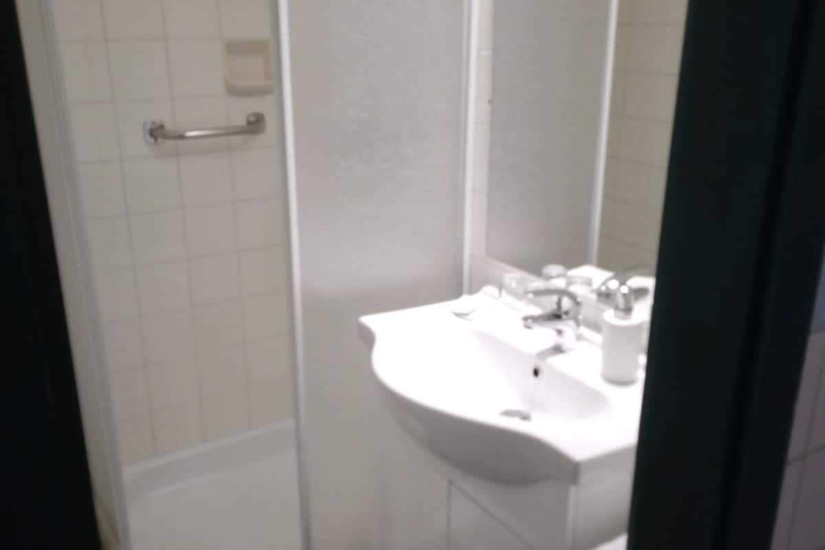 standard triple room, 1 bedroom, mountain view | bathroom | shower, free toiletries, hair dryer, towels