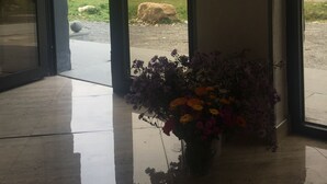 Une pièce dotée d’une grande fenêtre, d’une plante en pot ornée de fleurs et offrant une vue sur un espace verdoyant à l’extérieur.
