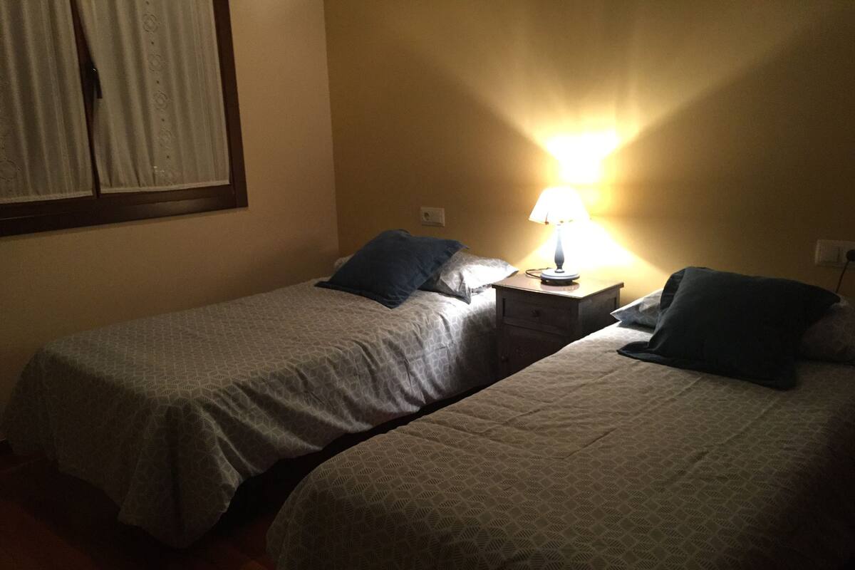 Deux lits simples avec une literie à motifs, une table de chevet avec une lampe et une fenêtre avec des rideaux.