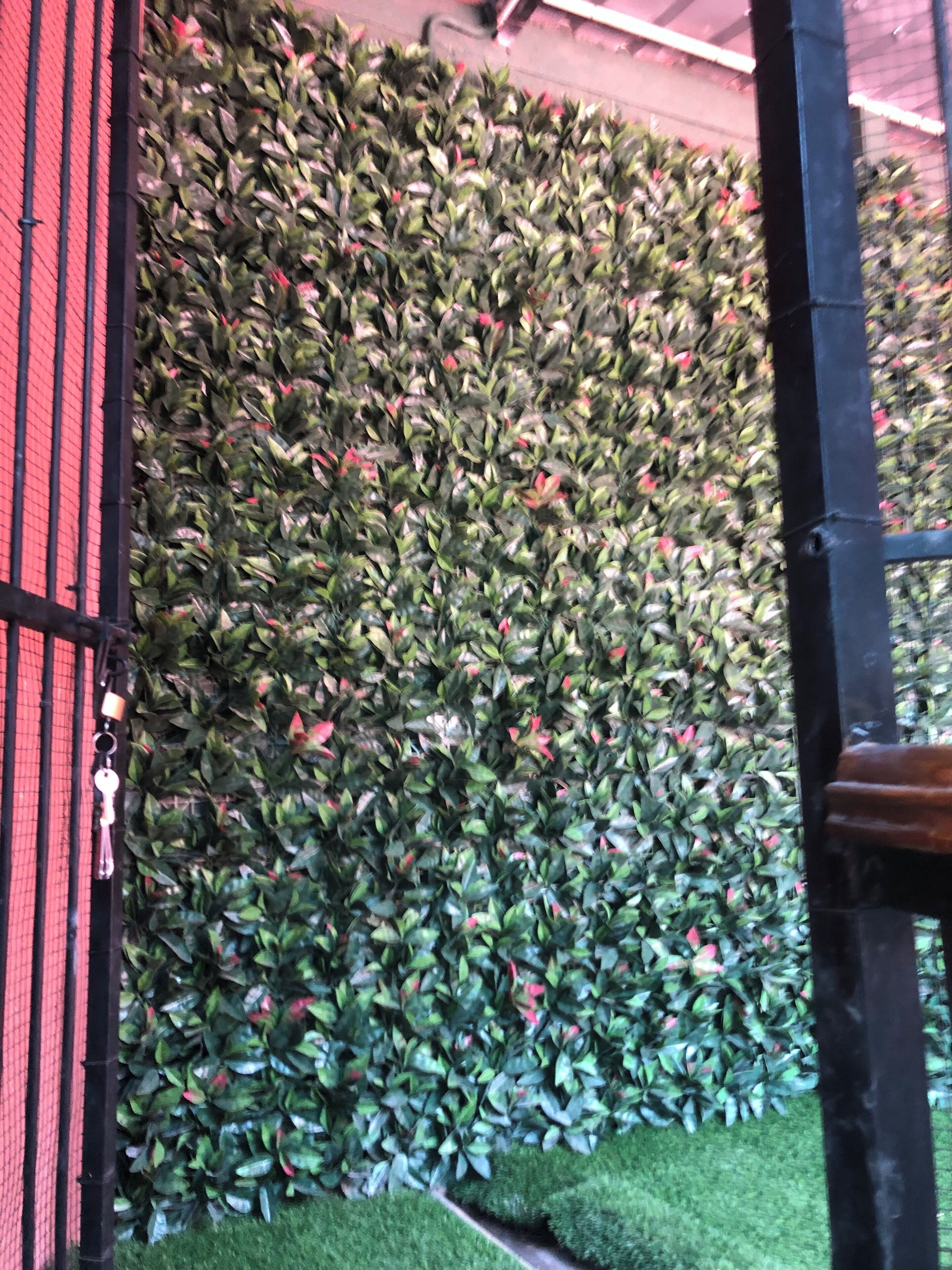 Áreas de la propiedad