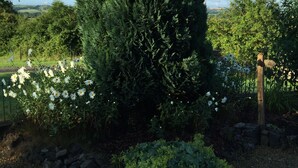 A garden with a large coniferous tree, white flowers, and a wooden post. - Formerly, Zoar Congregational Chapel offering a unique stay in Pembrokeshire  (Kilgetty)