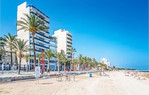 Playa en los alrededores y pesca 