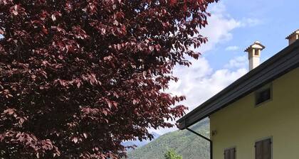 Holiday apartment with a view of the Ledrosse