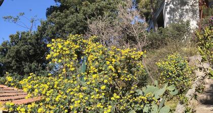 Villa face Ă  la mer, emplacement de rĂȘve.