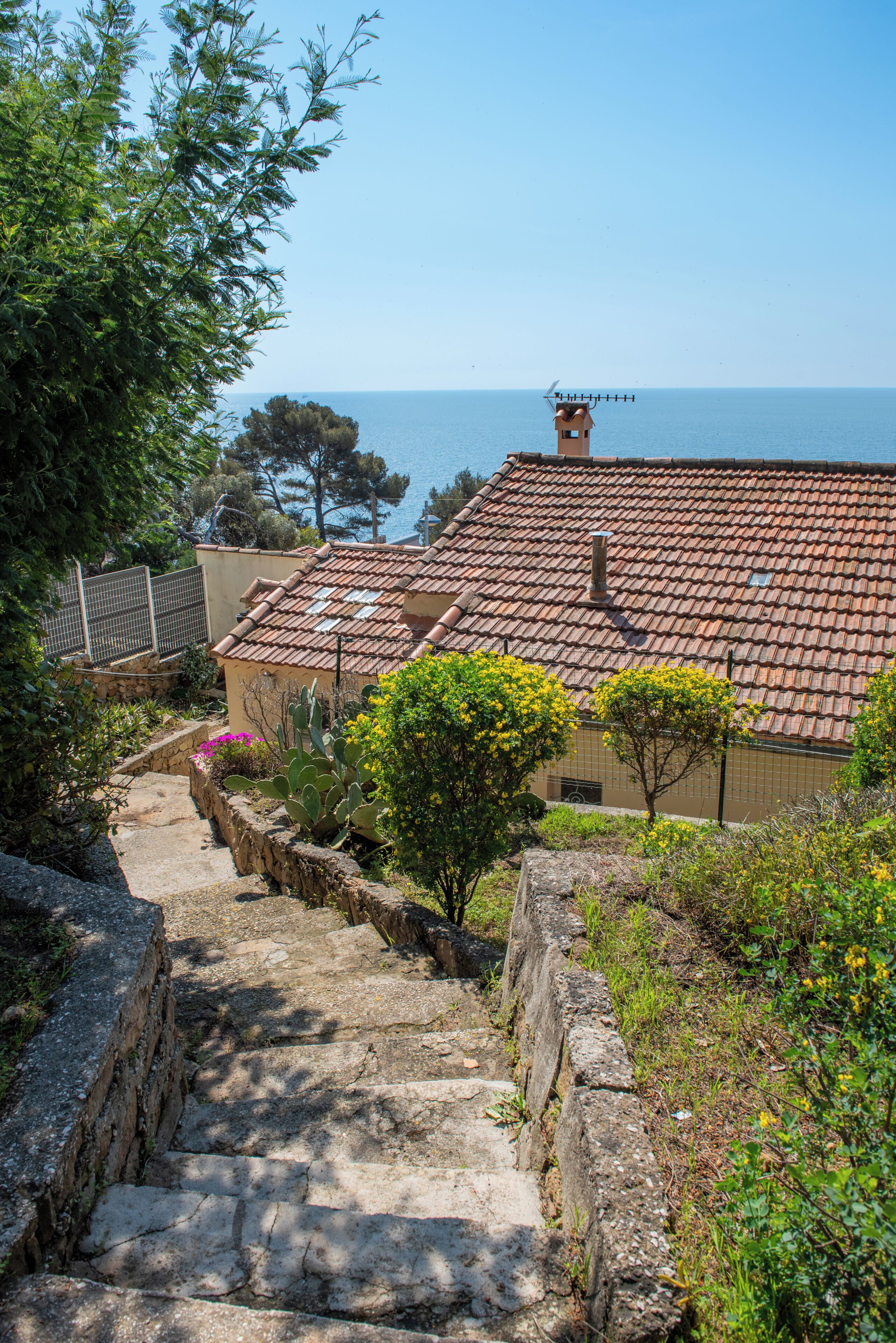 A stone staircase leading to a building with a tiled roof, surrounded by greenery and overlooking a body of water.