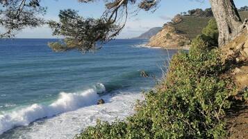 Plage à proximité, chaises longues