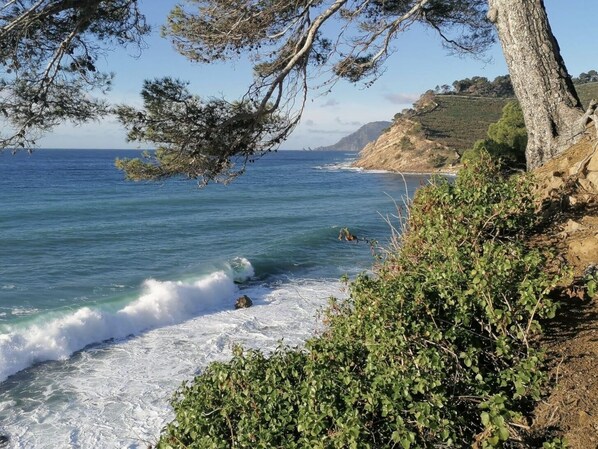 Playa en los alrededores y camastros 