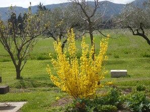 Parco della struttura