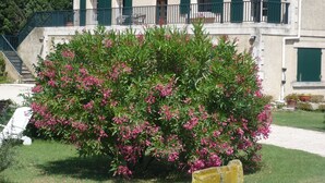 A two-story building with a balcony, a staircase, and a garden with flowering bushes.