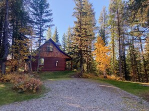 A rustic cabin surrounded by tall trees and a gravel driveway.