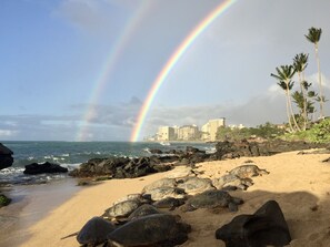 Een strand met een regenboog, een rotsachtige kustlijn en palmbomen.