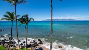 A beach with palm trees and rocky shoreline.