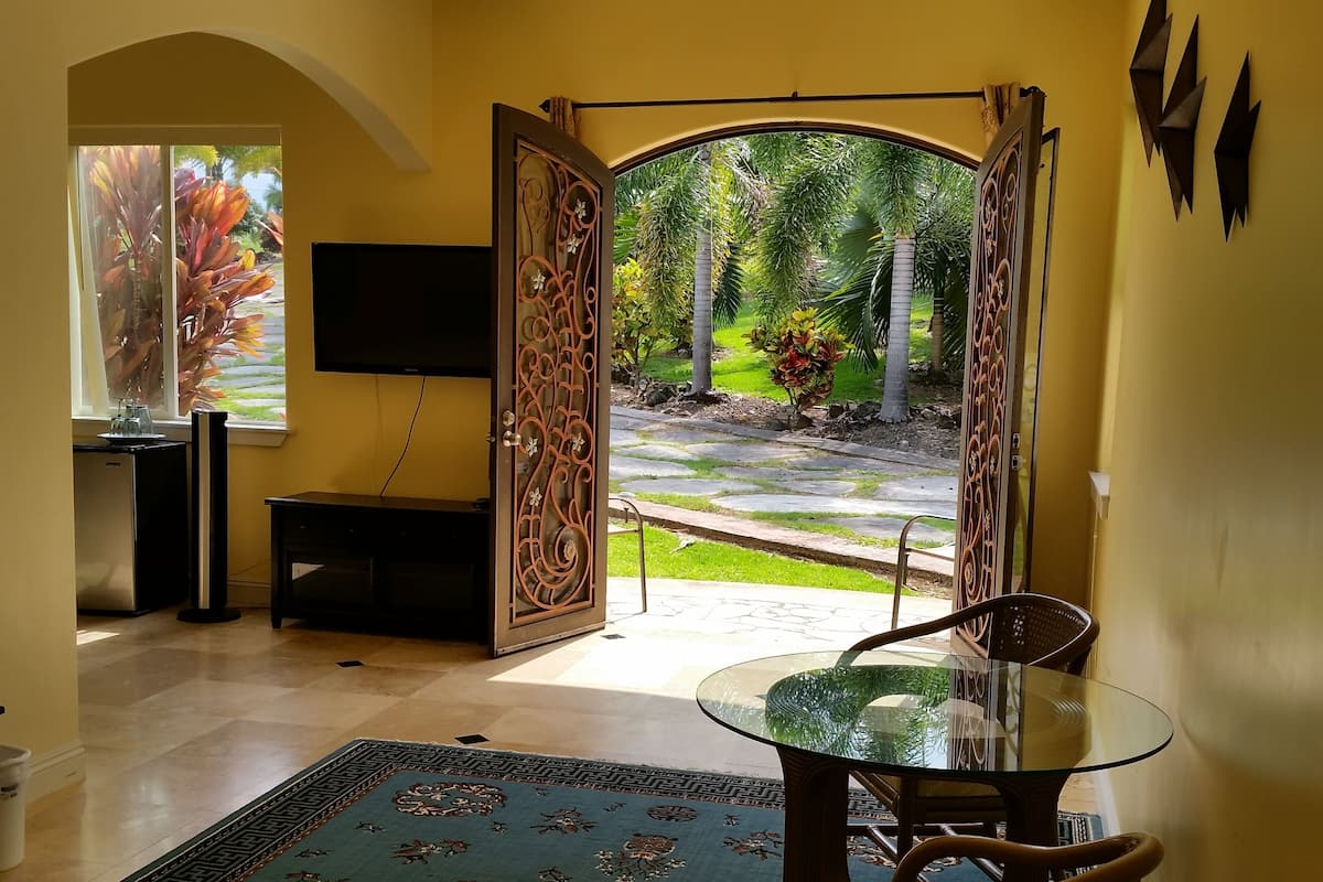 A room with a TV, a small table with chairs, a decorative rug, and an open door leading to a garden.