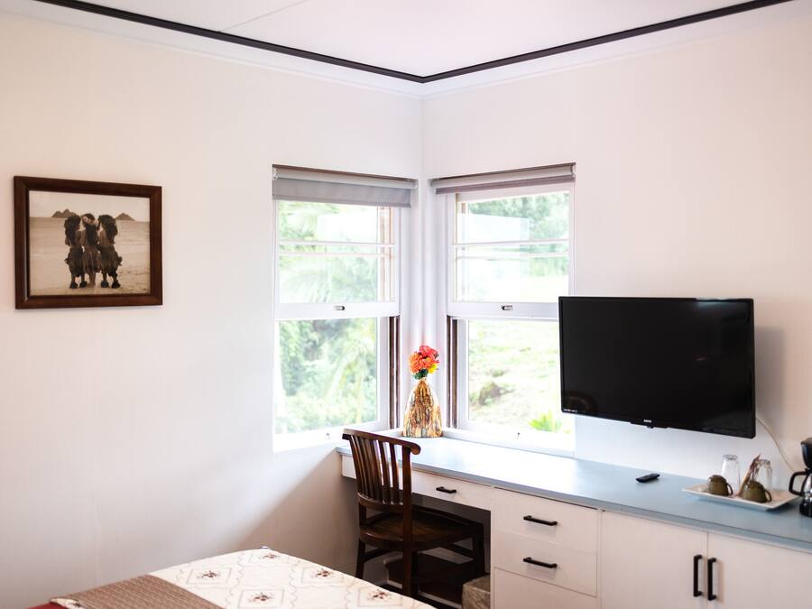 A room with a desk, chair, TV, and a window with a view of greenery.