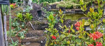 Hilltop Vacation Rental