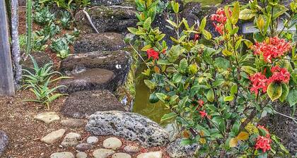 Hilltop Vacation Rental