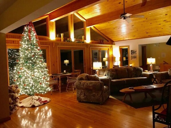 Smart TV, fireplace, video games, DVD player