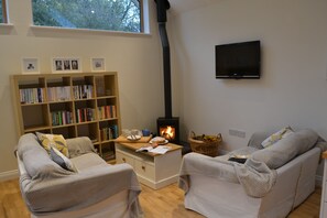 TV, fireplace, table tennis, books - Blyth Green Stable - rural Norfolk yet only 10 miles from Norwich (Norwich)