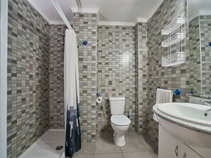Combined shower/bathtub, hair dryer, bidet, towels