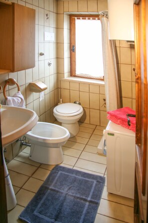 Dutxa, assecador de cabells, bidet i paper higiènic 