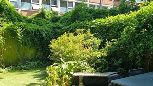 A patio area with a table and chairs, surrounded by lush greenery and a brick wall. - Bright Garden Flat w/ Patio | 5★ Reviews | 5 min to Tube & Westfield (London)