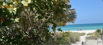 Tropical Paradise On The Beach               Permit VRC17-000168