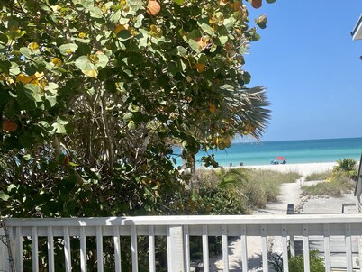 Tropical Paradise On The Beach               Permit VRC17-000168