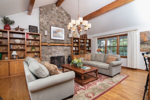 Smart TV, fireplace, DVD player, video library