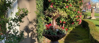 Stunning, Large, Beautifully Decorated Home in Downtown Lodi with Spa Amenities