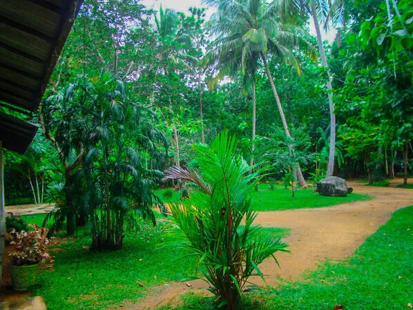 View from property - Nildiya Lanka Holiday Resort - Hostel (Polonnaruwa)