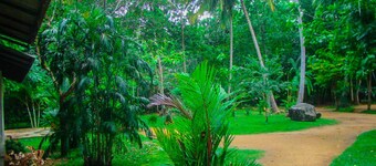 Nildiya Lanka Holiday Resort - Hostel