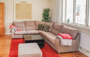 Televisión, chimenea y reproductor de DVD 