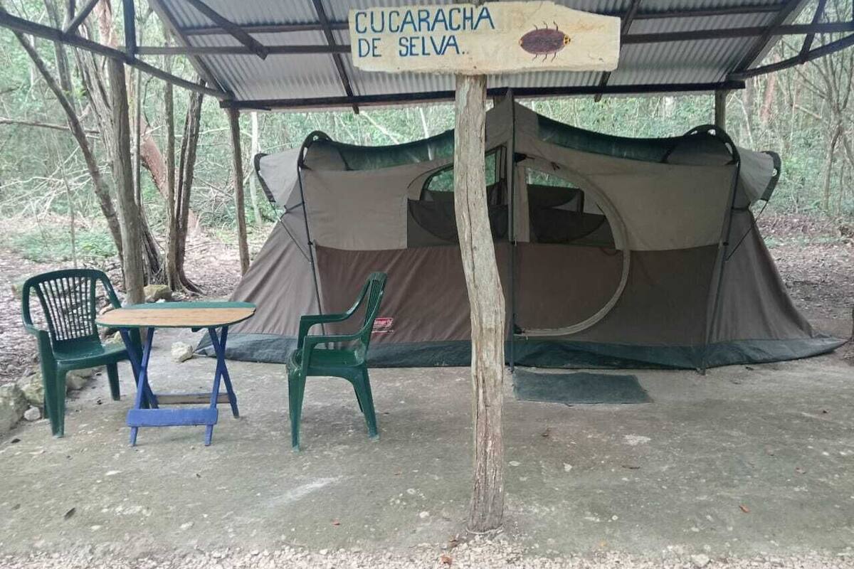 Tent, 2 Queen Beds | Bed sheets
