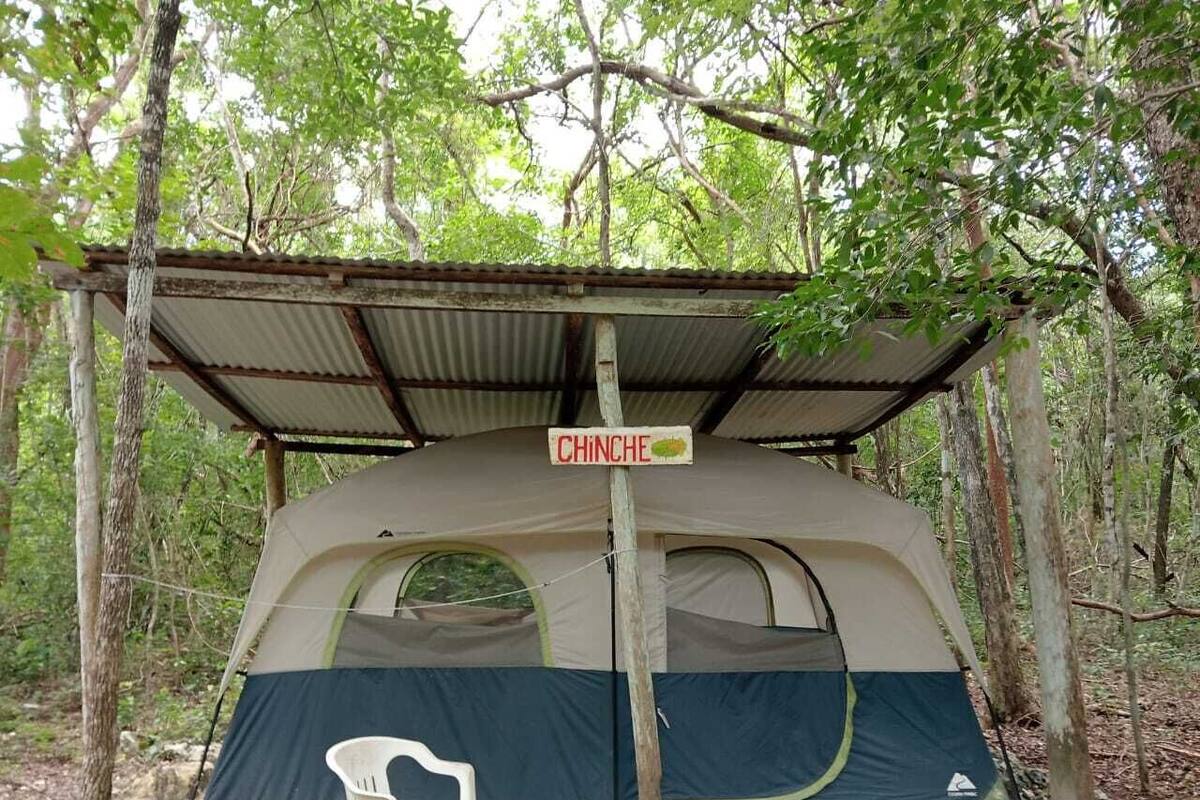 Tent, 2 Queen Beds | Bed sheets