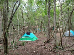 Tent | Bed sheets - Campamento Yaaxche en Calakmul (Calakmul)