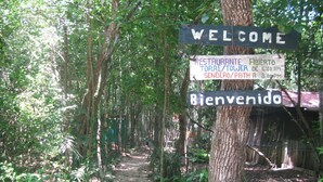 Property grounds - Campamento Yaaxche en Calakmul (Calakmul)
