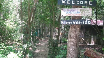 Áreas de la propiedad