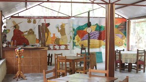 Lobby sitting area - Campamento Yaaxche en Calakmul (Calakmul)