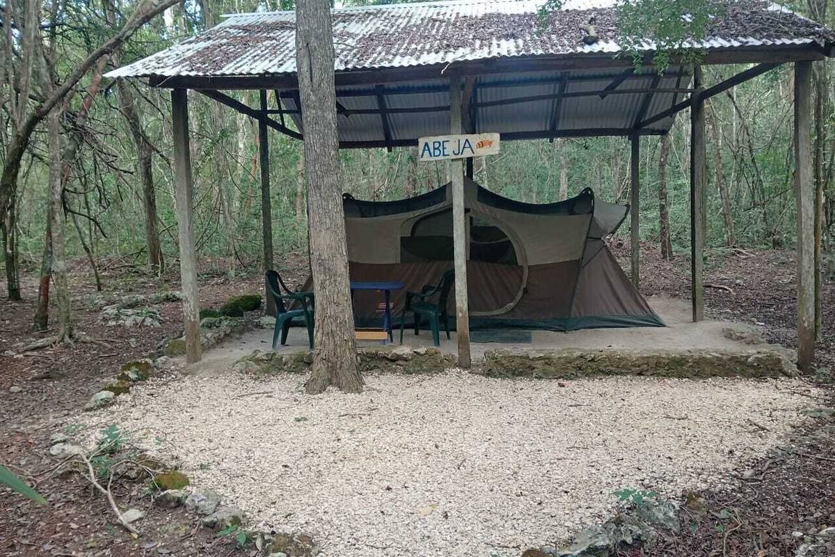 Tent, 2 Queen Beds | Bed sheets