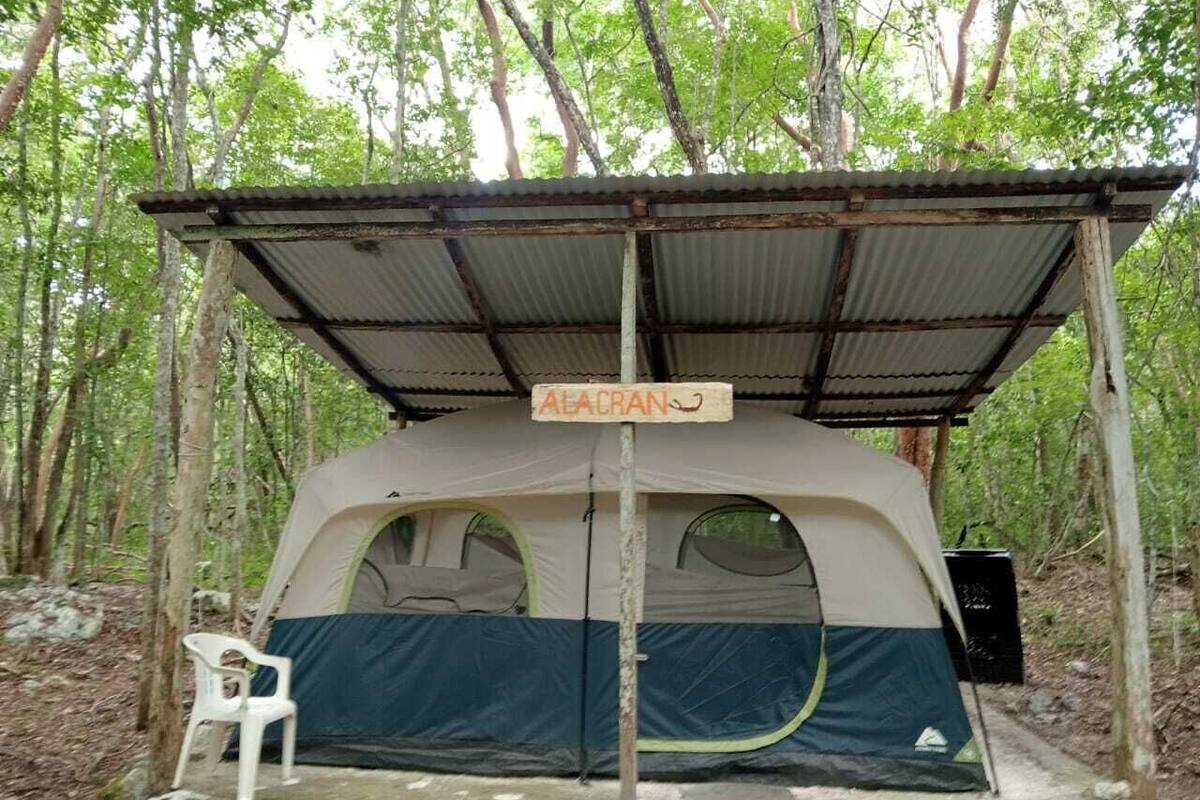 Tent, 1 Queen Bed | Bed sheets