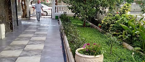 Jardin
