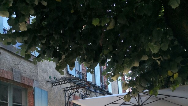 Un espacio al aire libre con pared de ladrillo, barandilla metálica y macetas con plantas.
