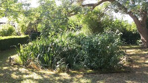 Un jardín con diversas plantas y árboles.