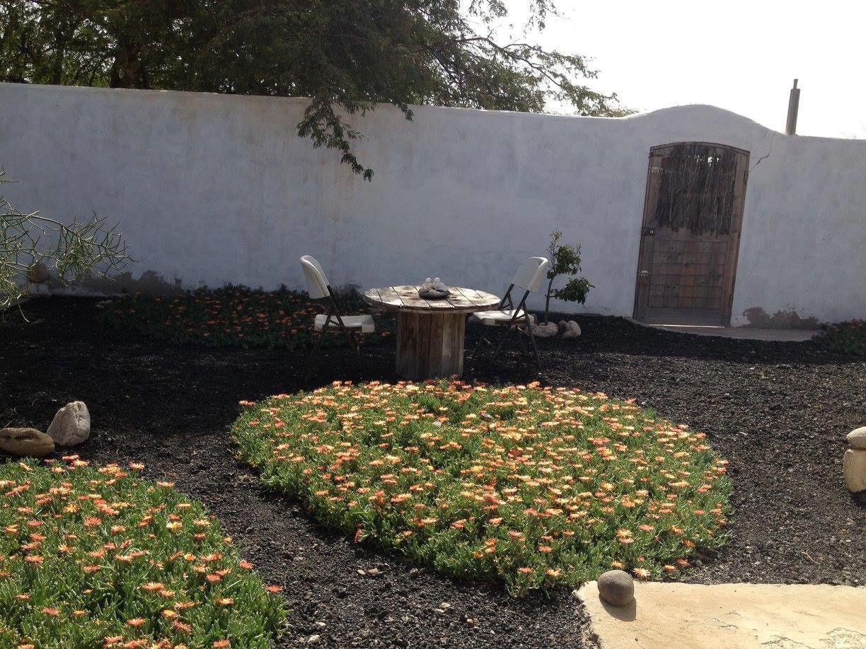 A garden with a round wooden table and chairs, surrounded by a circular flower bed with orange flowers.