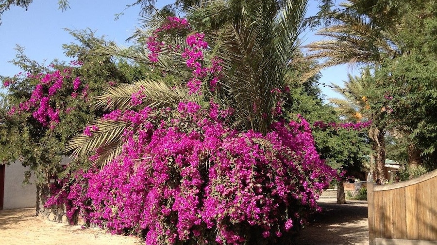 Villa Morabeza Guest House